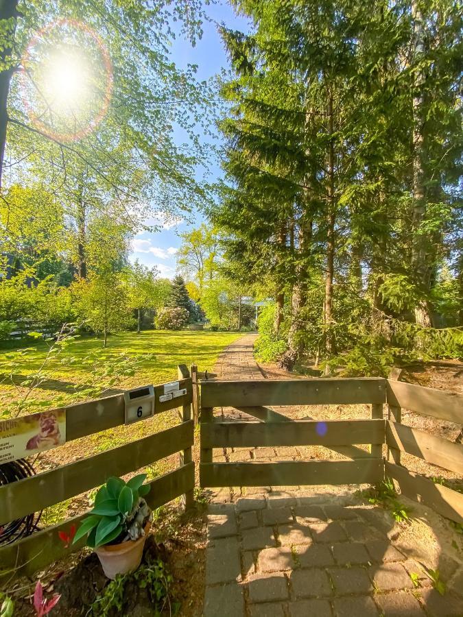 Ferienwohnung Im Sachsenwald Dassendorf Dış mekan fotoğraf