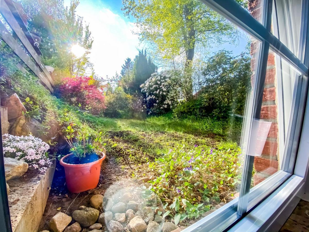 Ferienwohnung Im Sachsenwald Dassendorf Dış mekan fotoğraf
